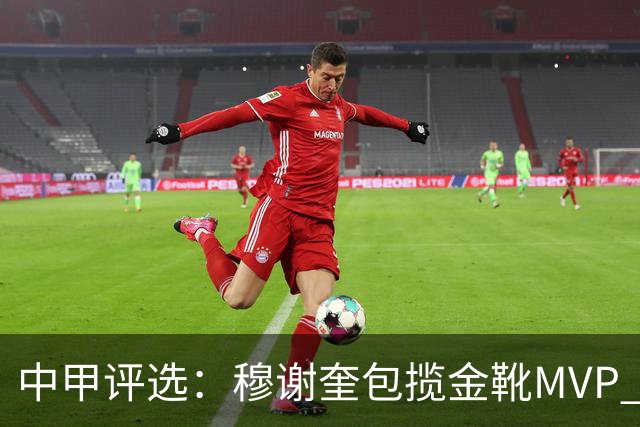 中甲评选：穆谢奎包揽金靴MVP 李金羽最佳教练