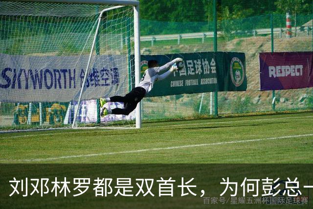 刘邓林罗都是双首长，为何彭总一直是司令兼政委？毛主席的用人算术