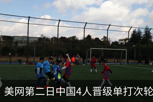 美网第二日中国4人晋级单打次轮 张之臻因伤退赛