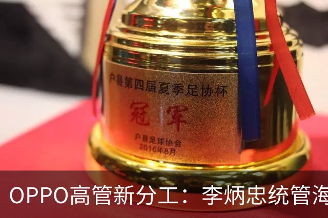 OPPO高管新分工：李炳忠统管海外市场 尹文广统管手机产品